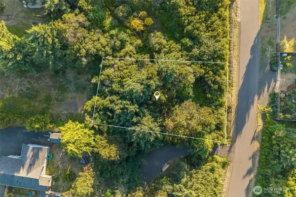 193 N Narwhal Loop Nw, Ocean Shores, WA 98569