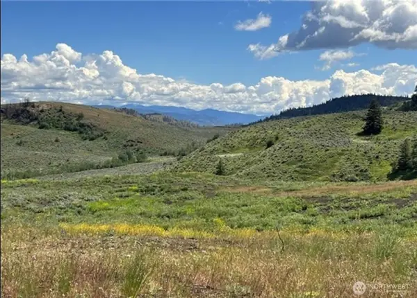 0 Ellemeham Mountain Road, Oroville, WA 98844