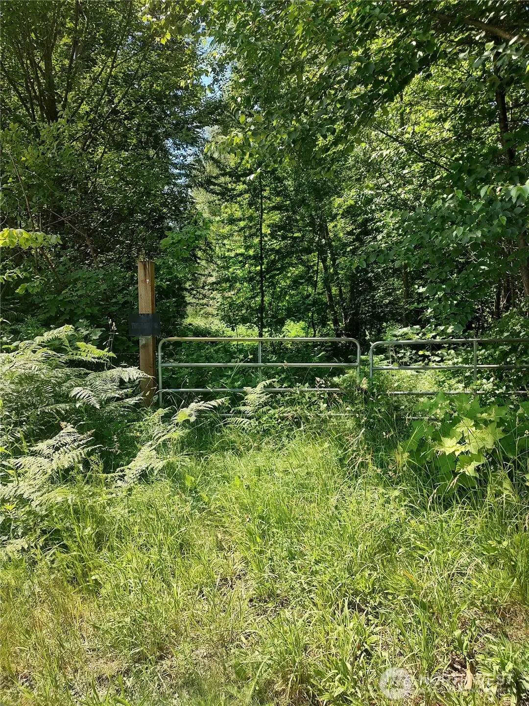 0 Custer School Road, Custer, WA 98240 - #1