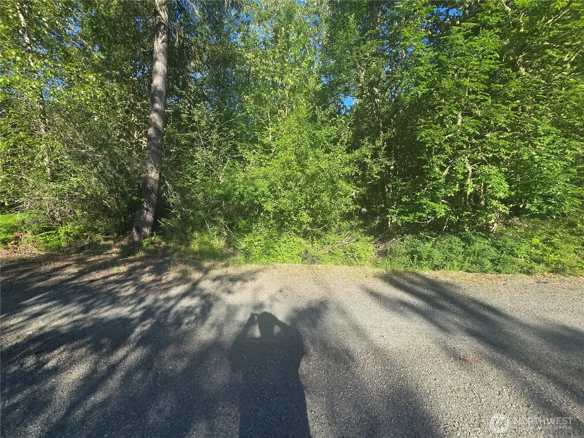 13823 Starflower Lane Se #4, Yelm, WA 98597 - #1