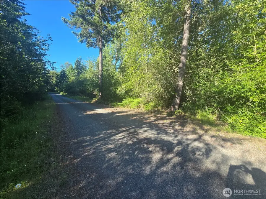 13823 Starflower Lane Se #4, Yelm, WA 98597 - #2