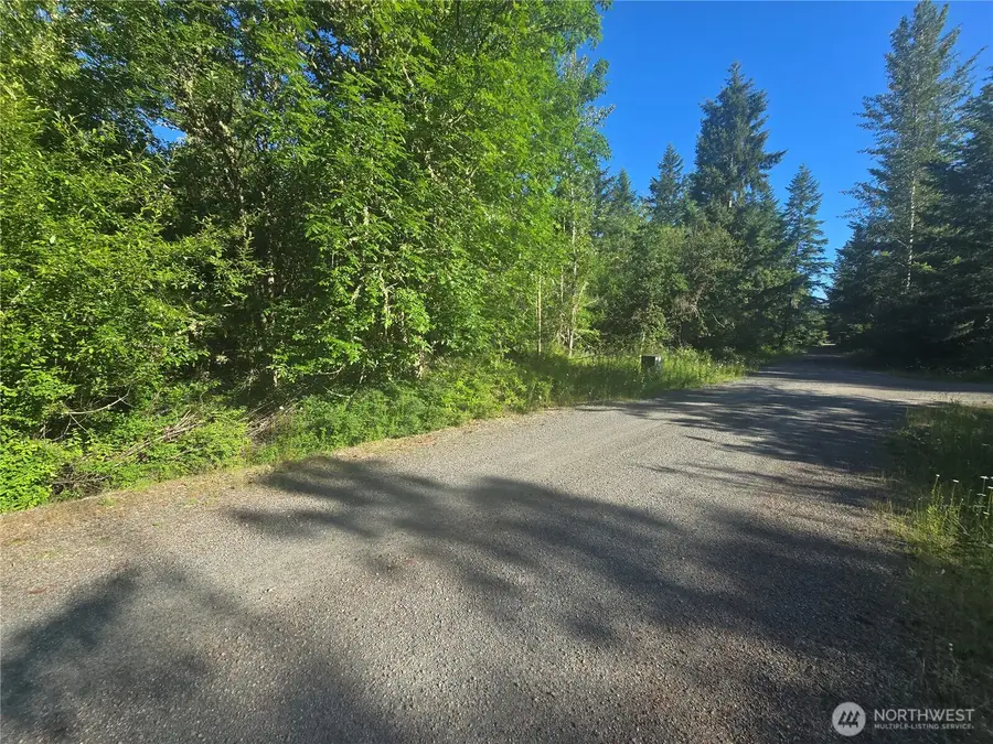 13823 Starflower Lane Se #4, Yelm, WA 98597 - #3