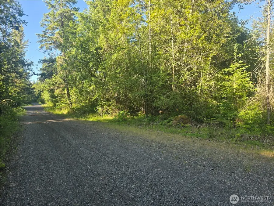 13721 Starflower Lane Se #2, Yelm, WA 98597 - #2