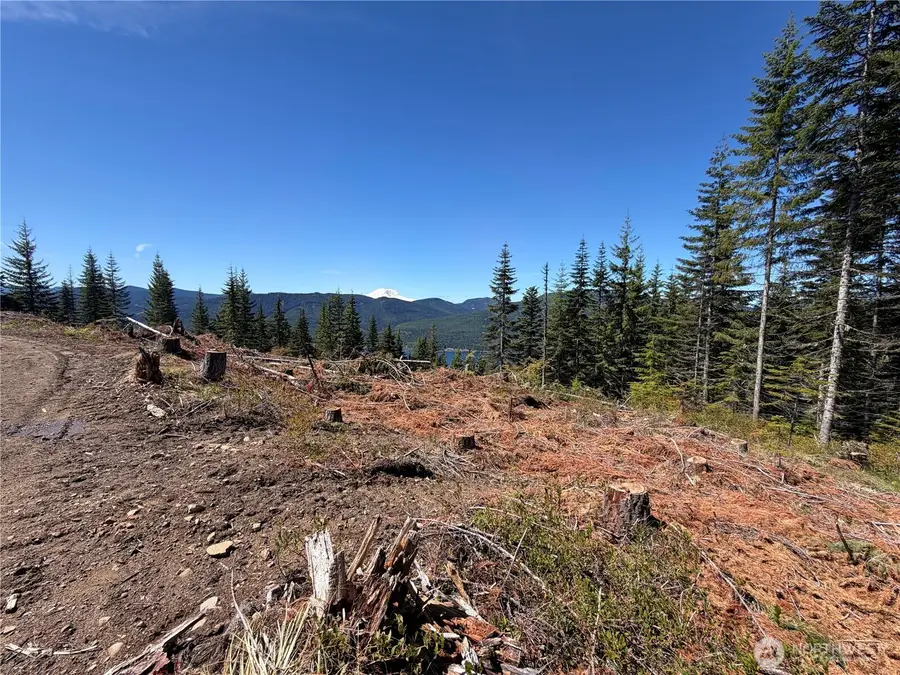 0 Fs Rd 124, Snoqualmie Pass, WA 98068 - #2