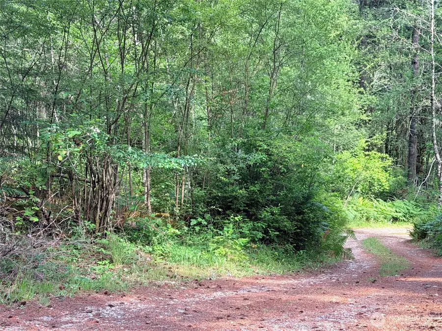 5445 SW County Line Road, Port Orchard, WA 98367 - #2