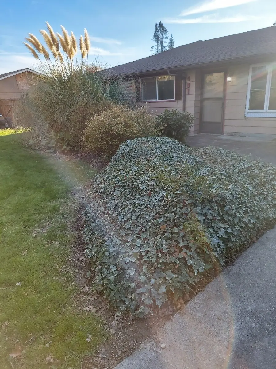 401 S Gardner, Burlington, WA 98233 - #1