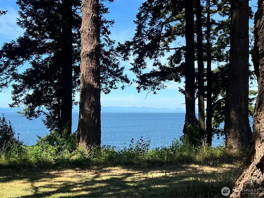 297 Marine Drive, Point Roberts, WA 98281 - #3