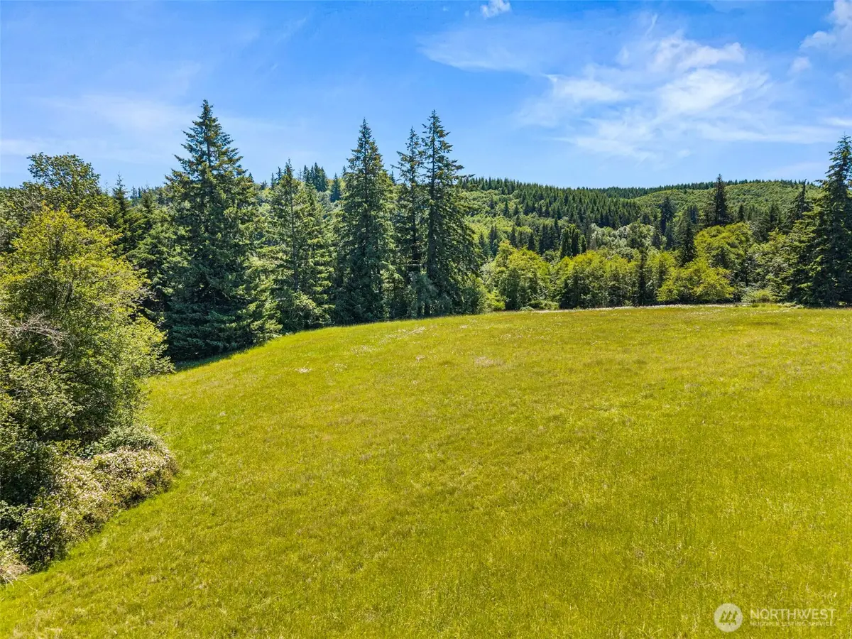 0 Ramsey Road, Newaukum Prairie, WA 98522 - #1