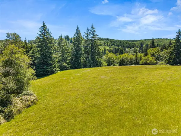 0 Ramsey Road, Adna, WA 98522