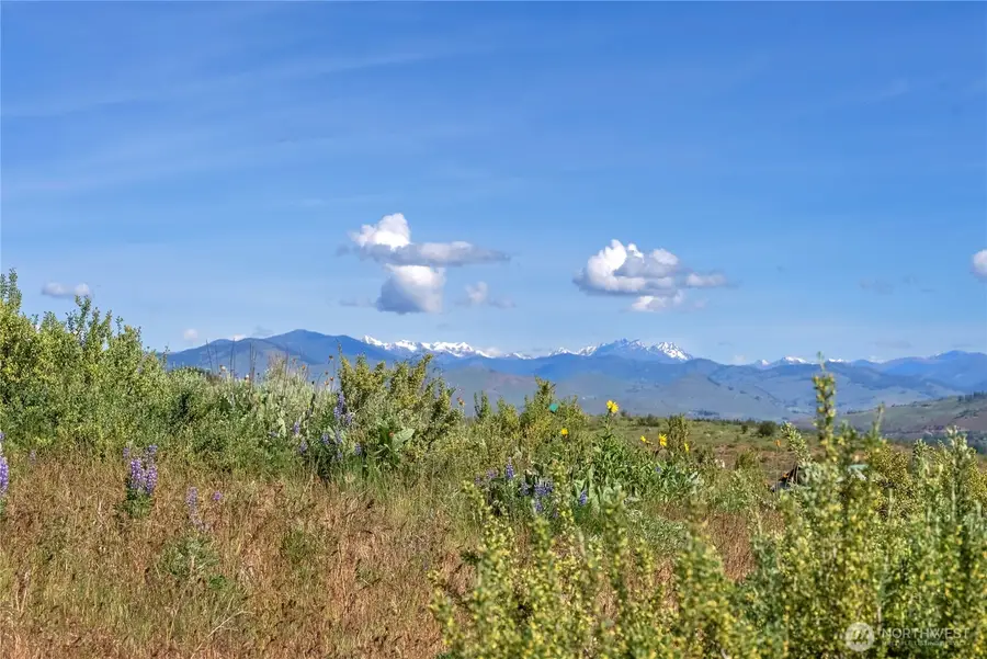 29 Signal Hill Road, Twisp, WA 98856 - #3