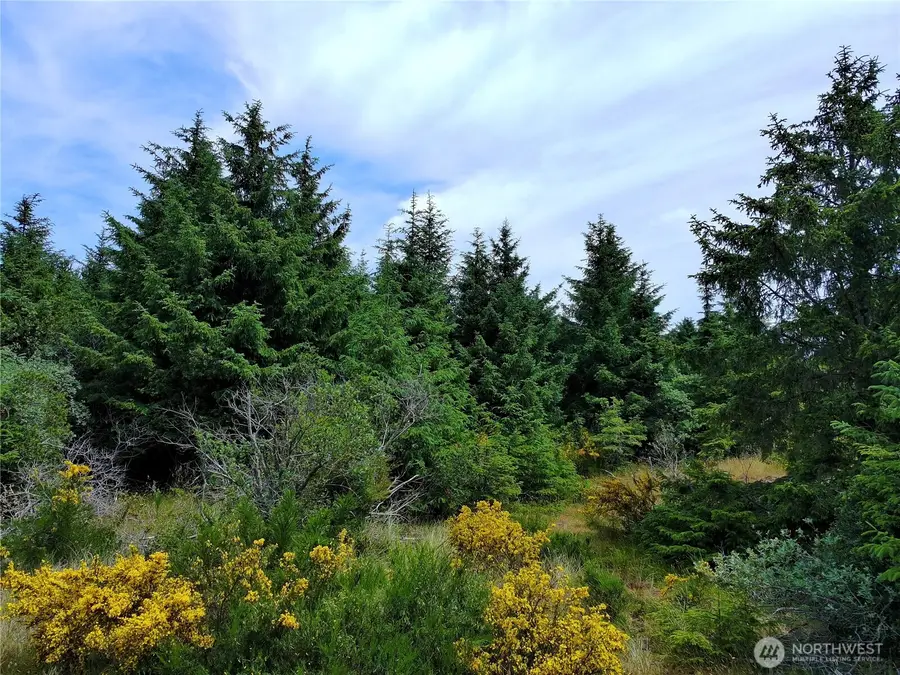 710 Island Circle Se #279, Ocean Shores, WA 98569 - #3