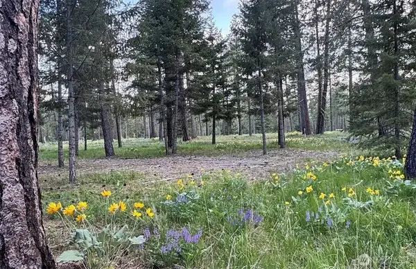 331 Wanawish Loop #78, Cle Elum, WA 98922
