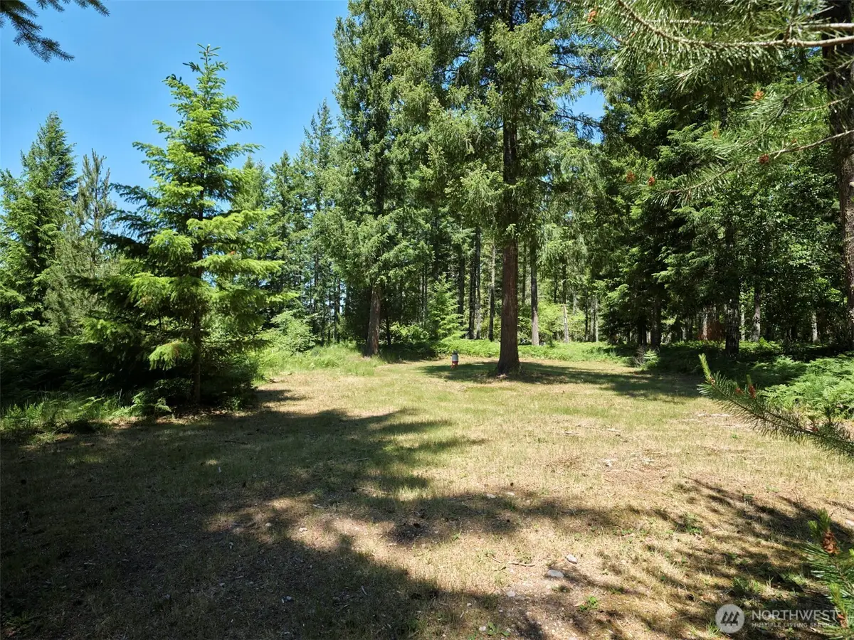 0 Loowit Lane #1, Cougar, WA 98616 - #1