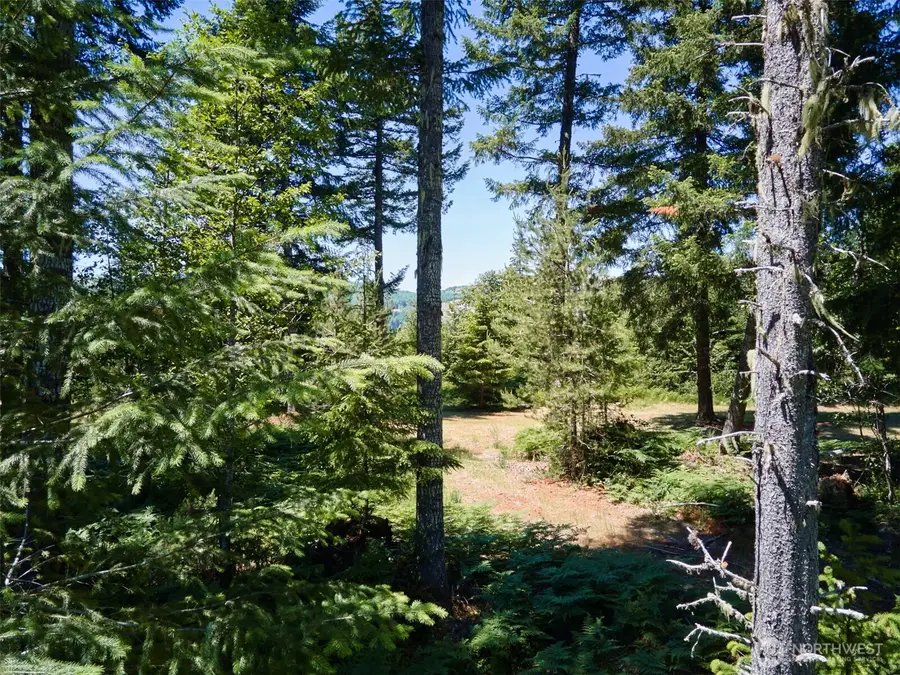 0 Loowit Lane #1, Cougar, WA 98616 - #3