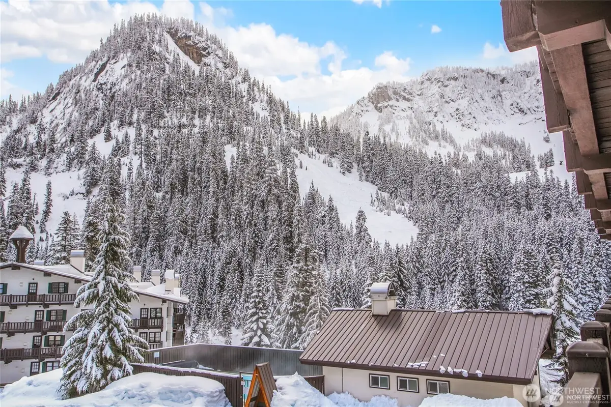 17800 Alpental Access Road Se #3102, North Bend, WA 98045 - #1