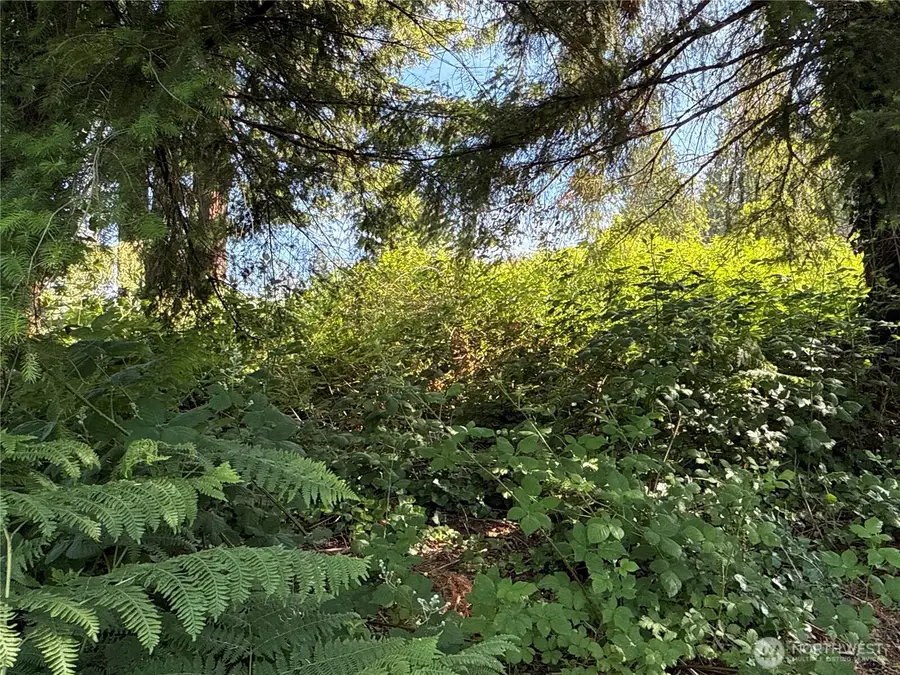 2229 97th Street Se #2, Lake Stevens, WA 98258 - #3