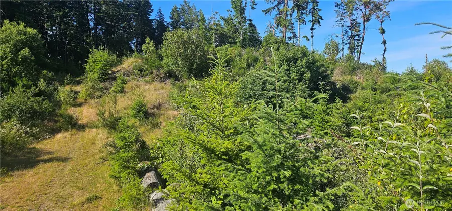 5012 NW Viewpoint Lane, Bremerton, WA 98312 - #2