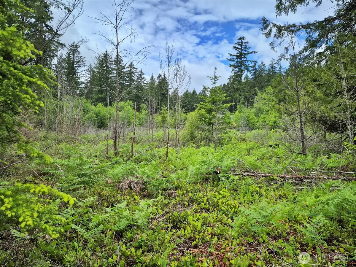 7 W Wilderness Lane #7, Seabeck, WA 98380 - #1