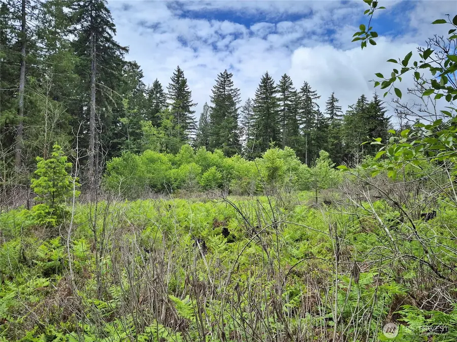 7 W Wilderness Lane #7, Seabeck, WA 98380 - #3