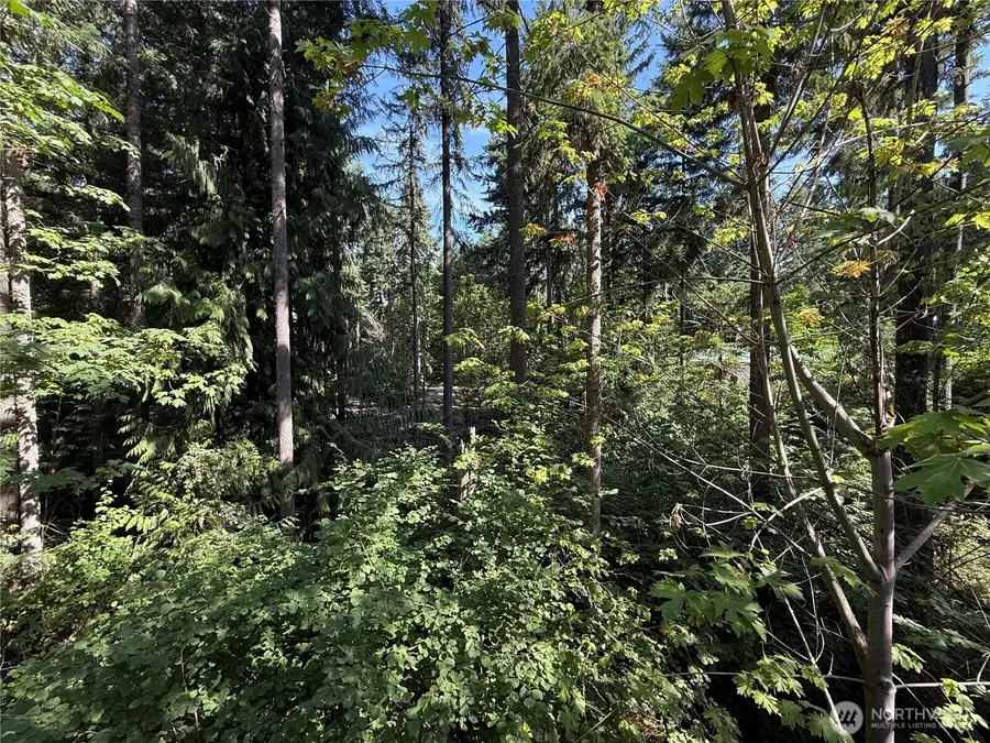 22702 Briarwood Court Se, Yelm, WA 98597 - #2
