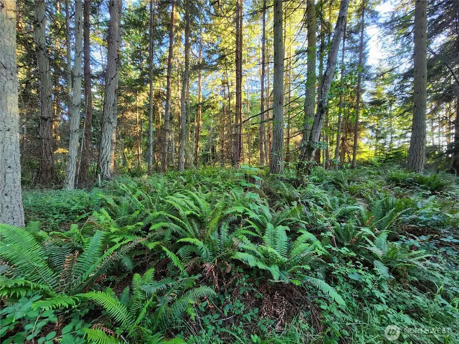 98249 Lancaster Rd, Freeland, WA 98249 - #2