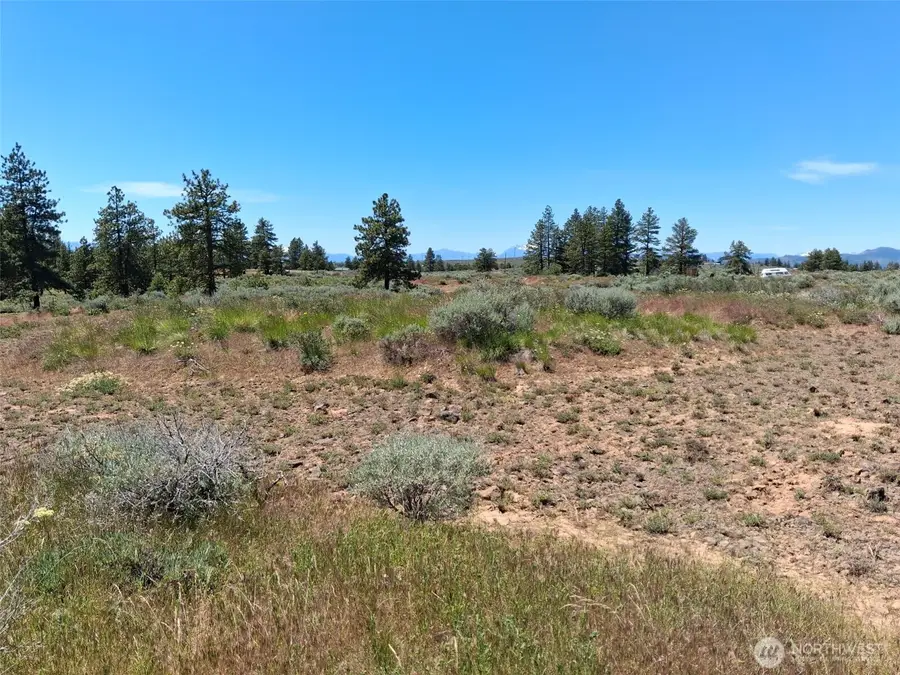 113 Falcon Ridge Road, East Wenatchee, WA 98802 - #3