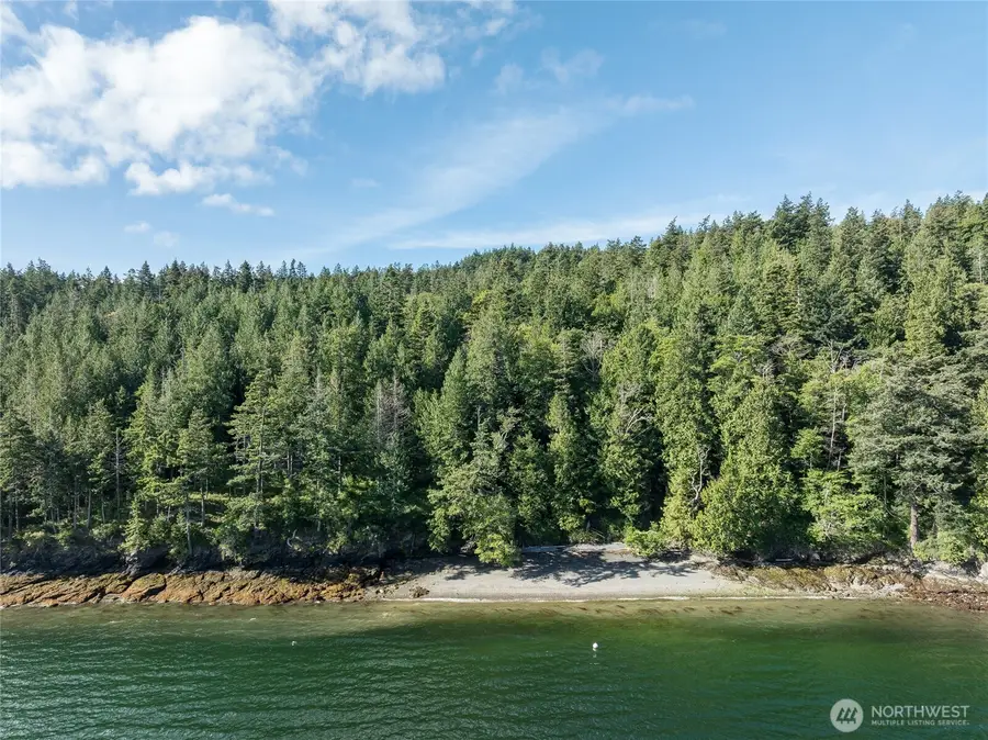 2101 Dolphin Bay Road, Eastsound, WA 98245 - #3