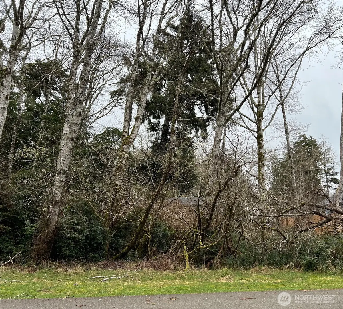 308 Lake View Loop Ne #33, Ocean Shores, WA 98569 - #1