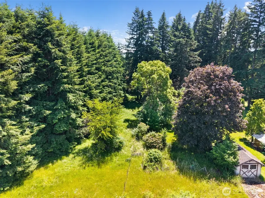 0 9th Street, Vader, WA 98593 - #3