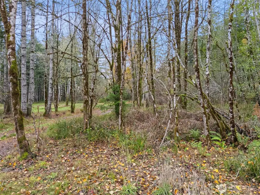 6191 E Pickering Road #2 of SP3016, Shelton, WA 98584 - #3