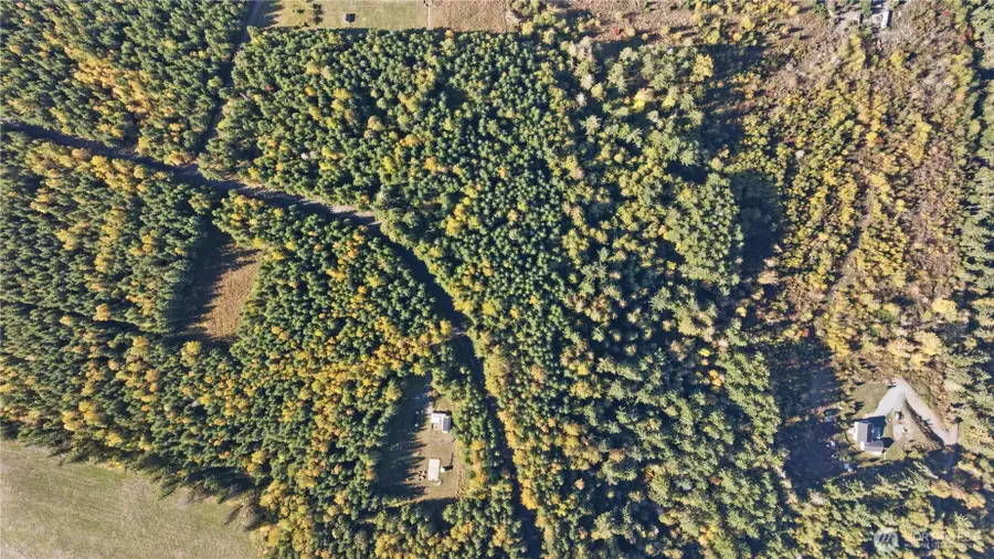 40320 32nd Avenue E #13, Eatonville, WA 98328 - #3