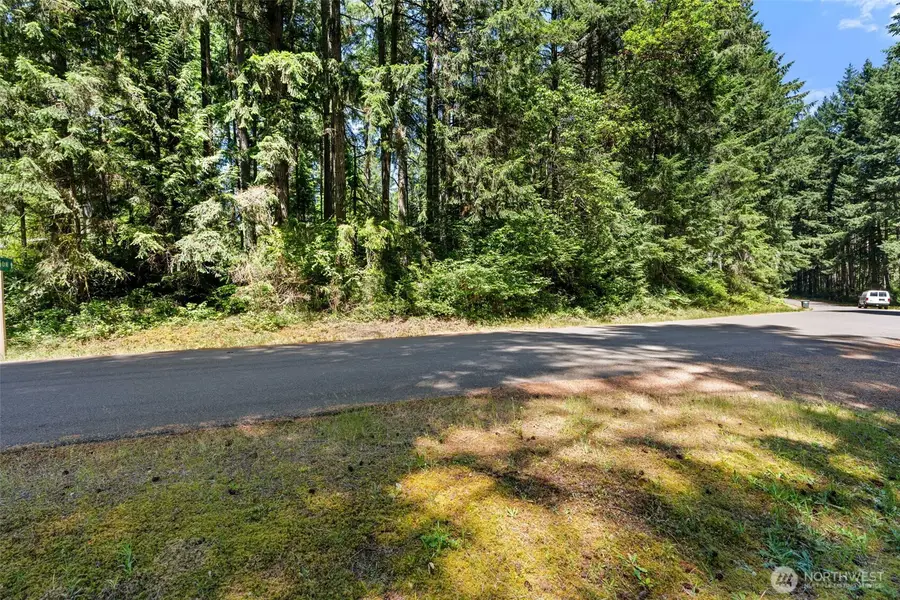 11103 Leschi Circle, Anderson Island, WA 98303 - #2