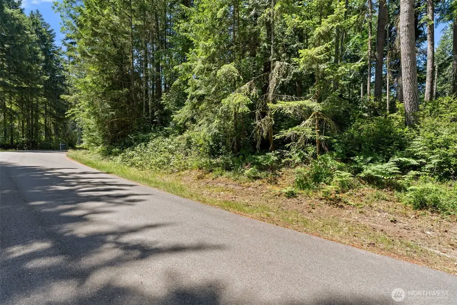 11103 Leschi Circle, Anderson Island, WA 98303 - #3