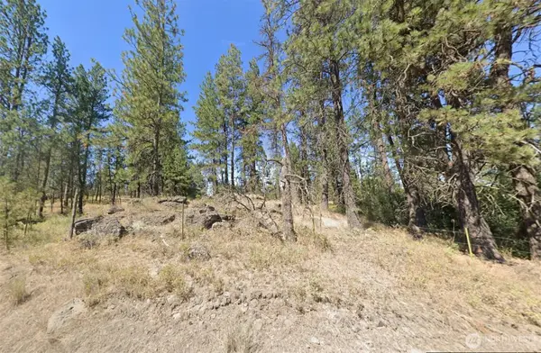 24535 S Pine Spring Rd, Cheney, WA 99004