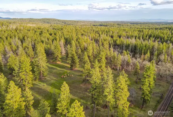 0 Greyback Mt Road #15, Goldendale, WA 98620