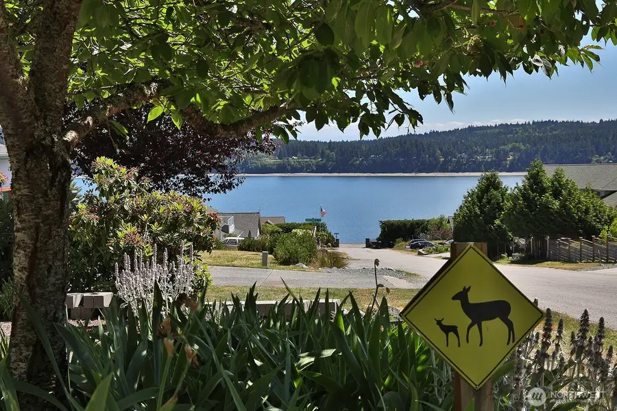 1383 Joseph Lane, Freeland, WA 98249 - #3