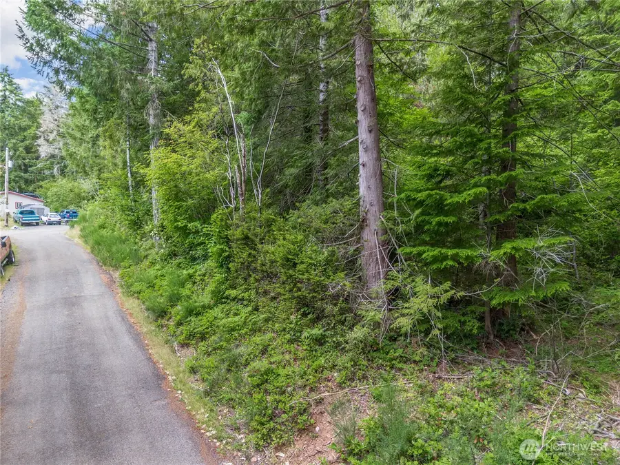 0 N Olympic Ave #37-38, Hoodsport, WA 98548 - #3
