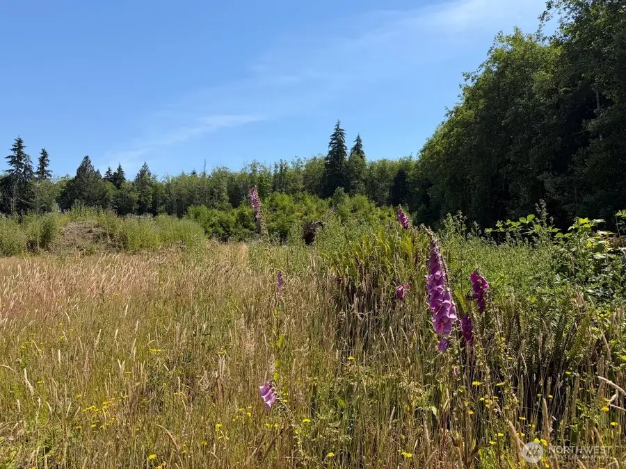 434 W Bulb Farm Road #2, Shelton, WA 98584 - #2