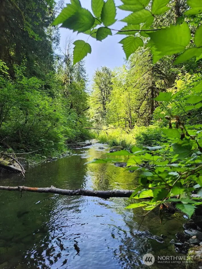 7882 Silver Lake Road, Maple Falls, WA 98266 - #2