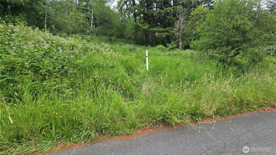 27339 SE 403rd (lots 39,47,48,49) Street #Lots 39,47,48,49, Enumclaw, WA 98022 - #2