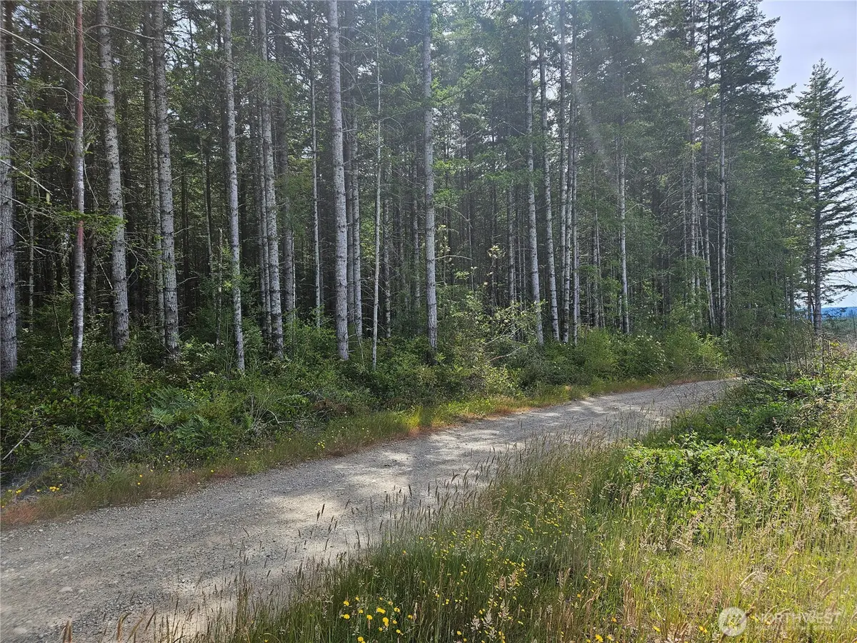 0 L Lee Valley Road, Quilcene, WA 98376 - #1