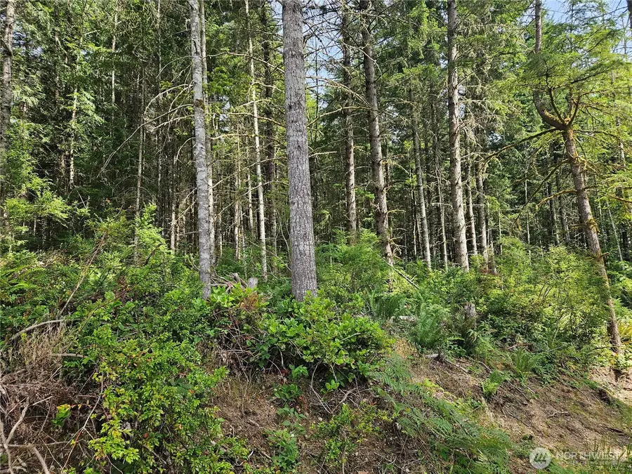 0 L Lee Valley Road, Quilcene, WA 98376 - #2