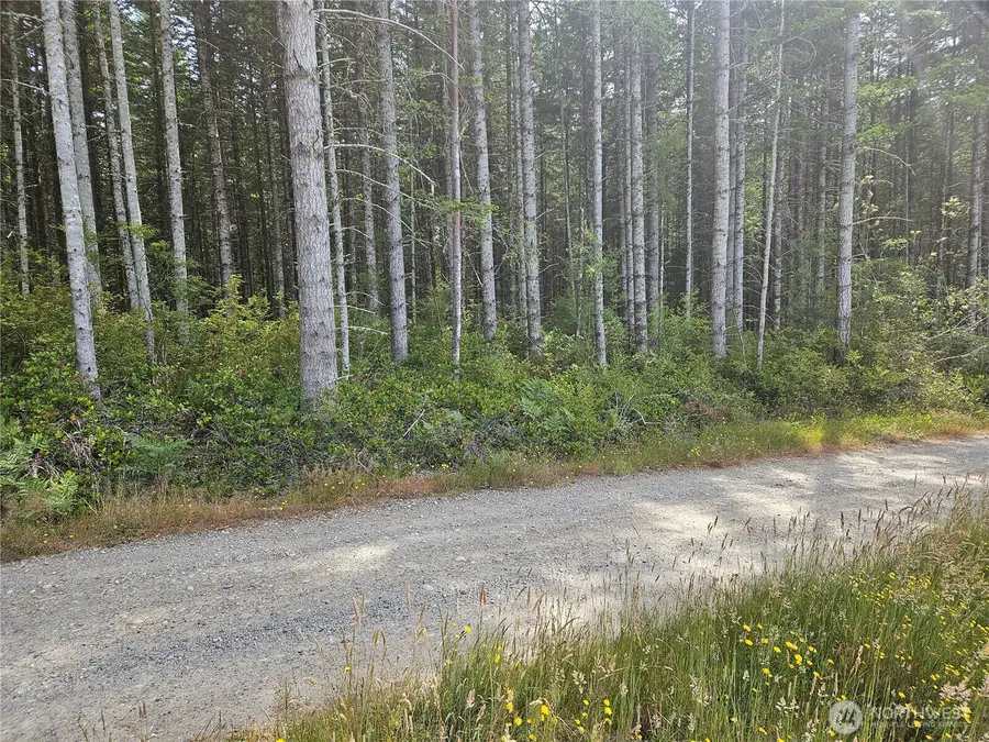 0 L Lee Valley Road, Quilcene, WA 98376 - #3