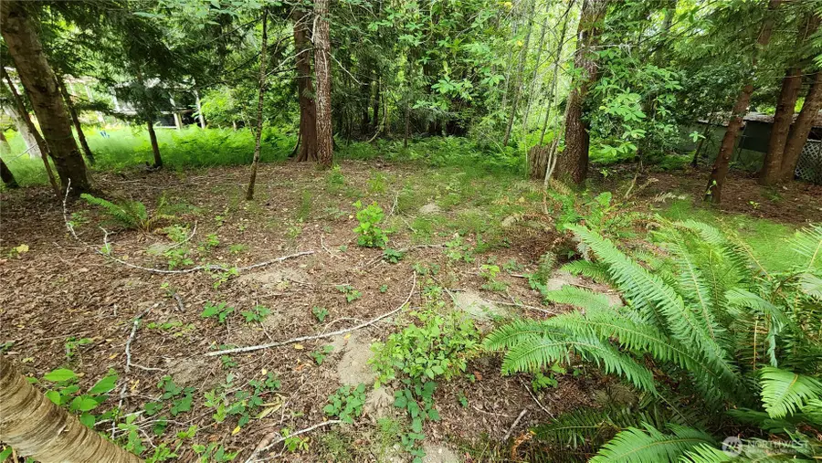 100 E Creekside Dr, Belfair, WA 98528 - #2
