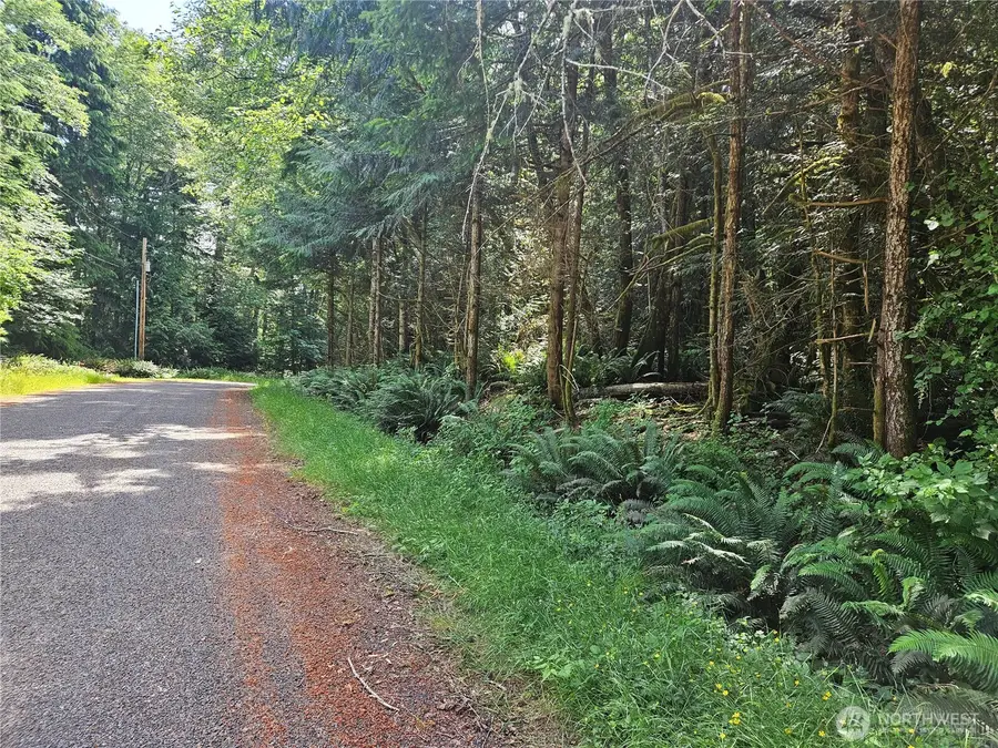 124 E Go Onna Drive #29, Quilcene, WA 98376 - #2