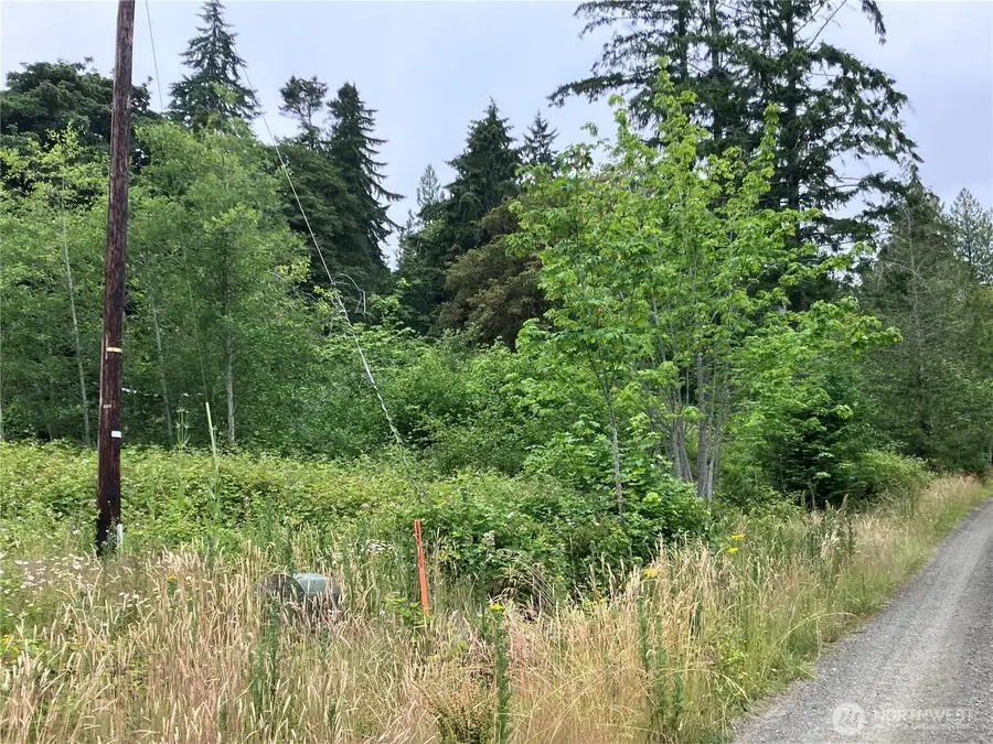 0 N Vi Ken Lane, Hoodsport, WA 98548 - #3