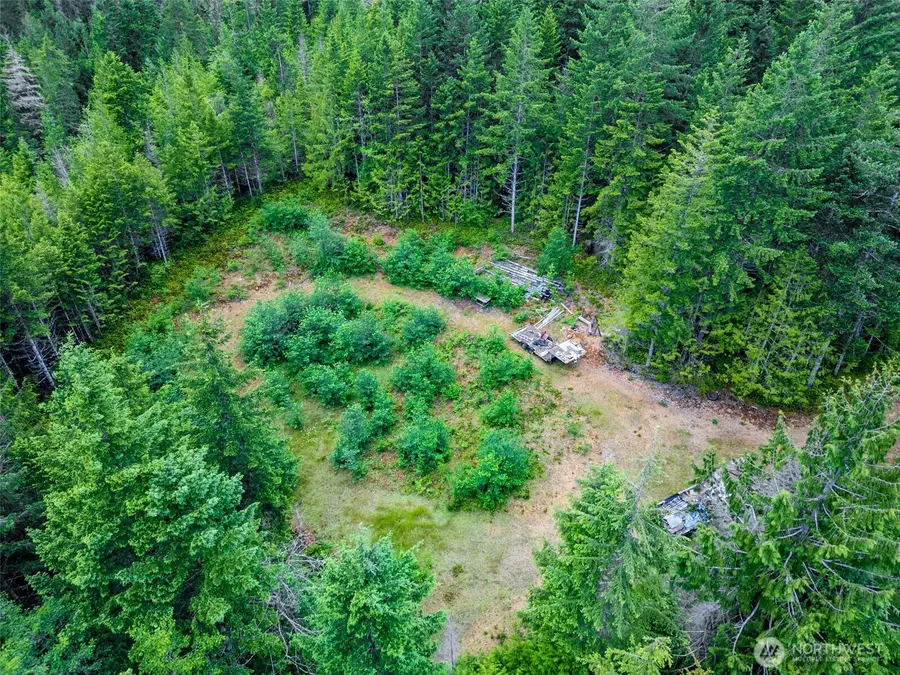 129 Valley View Lane, Brinnon, WA 98320 - #2