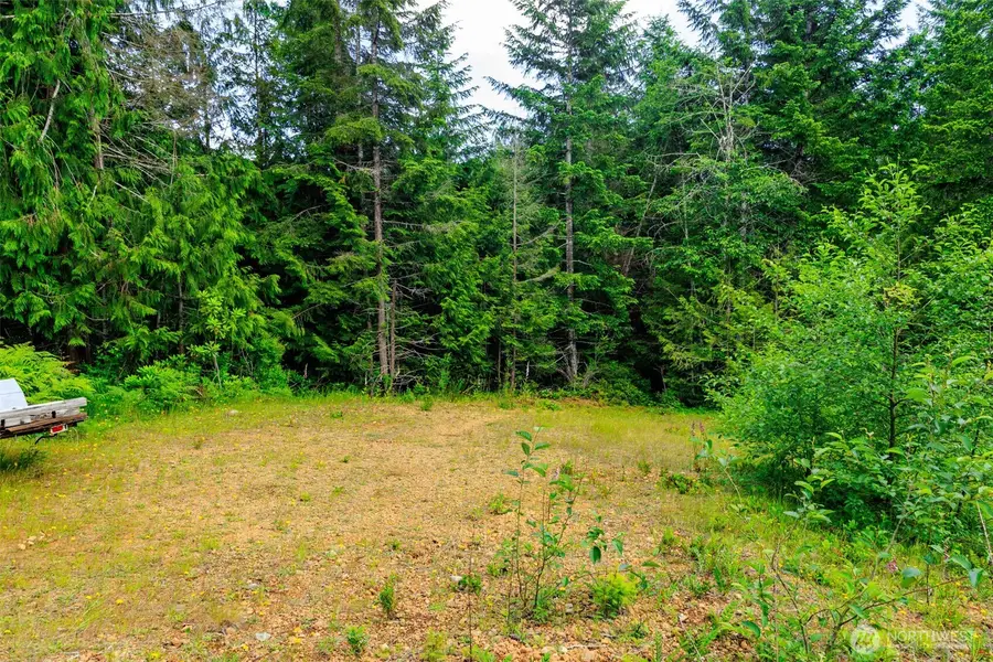 129 Valley View Lane, Brinnon, WA 98320 - #3