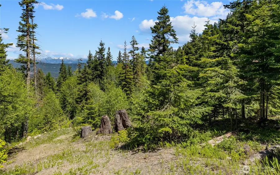 2000 Rocky Mountain Way, Cle Elum, WA 98922 - #2