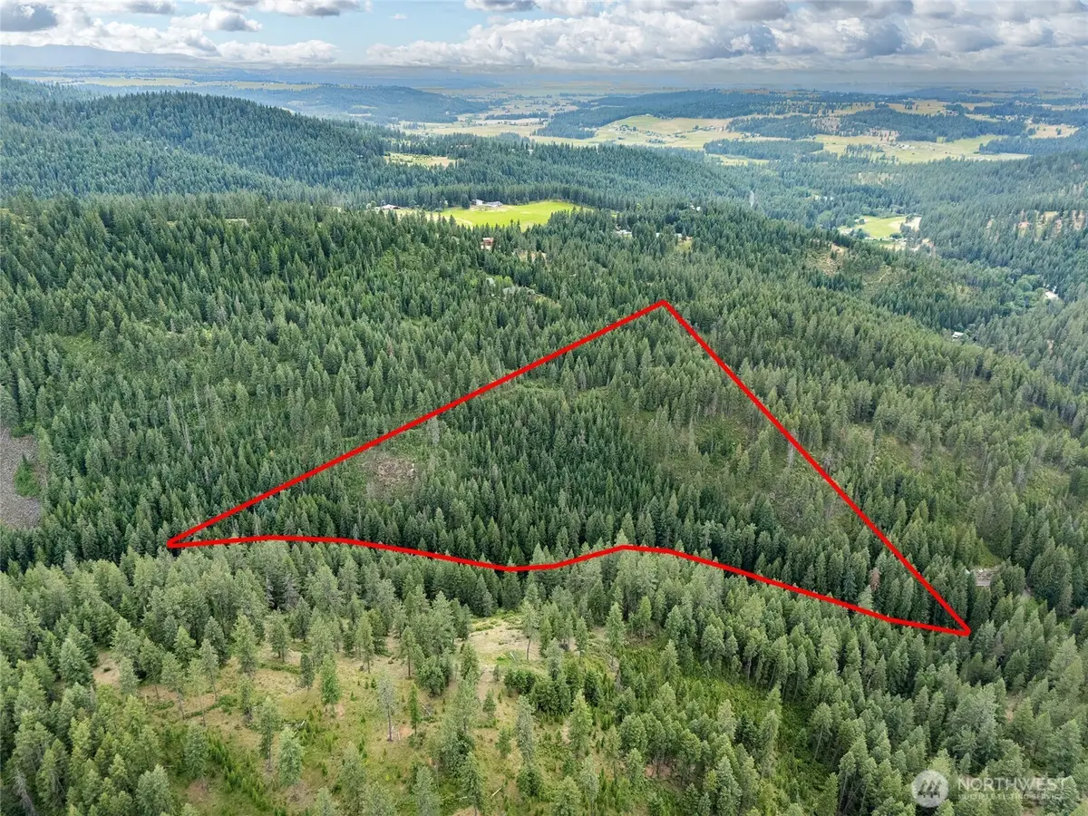 19960 N Mt Spokane Park Dr, Mead, WA 99021 - #1